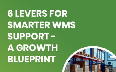 6 Levers for Smarter WMS Support