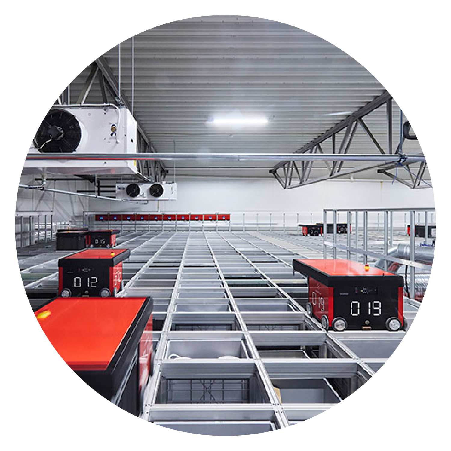 Circle Graphic for Website Automation 02